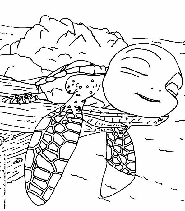 coloriage le voyage extraordinaire de samy sieste